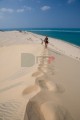 00006DMR_04246