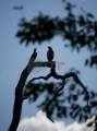 00010DMR_03772