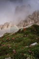 002DMR_001736_4000