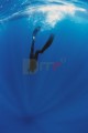 002DMR_003274