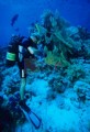002DMR_03040