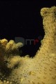 003DMR_03072
