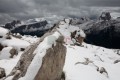 003DMR_04920
