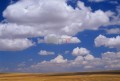 004DMR_003302