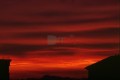 005DMR_003247