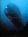 005DMR_07182