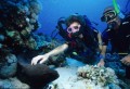 006DMR_03101