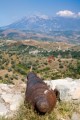 006DMR_08117