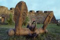 008DMR_08596