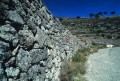 009DMR_009036