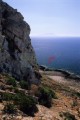 009DMR_07070
