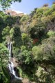 009DMR_07425