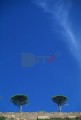 010DMR_009037