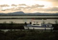 010DMR_04825