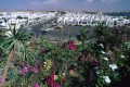 010DMR_07131