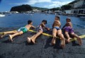 010DMR_08614