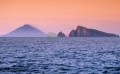 011DMR_05261