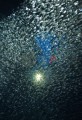 011DMR_07132