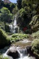 011DMR_07436