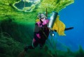 012DMR_03035