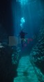 013DMR_05175