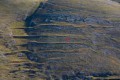 013DMR_07845