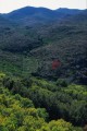 015DMR_07087