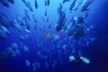015DMR_07108
