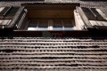 015DMR_07639