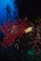 016DMR_000344_4000