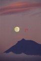 016DMR_003246