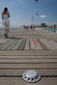 016DMR_04315