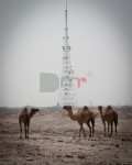 016VdS-9445