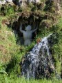 017DMR_07483