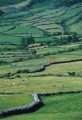 018DMR_08619