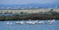 019DMR_04824