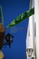 019DMR_05254