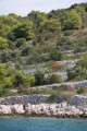 019DMR_08471