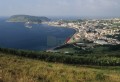 019DMR_08598
