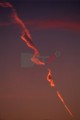 020DMR_003253