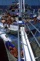 020DMR_003366
