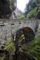 022DMR_07677