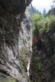 023DMR_07681