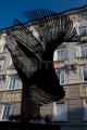 045_MG_6355