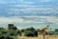 107DMR_05693