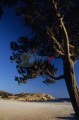 205DMR_06138