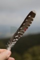 216DMR_06268