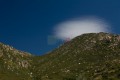 217DMR_06271
