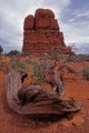 DMR_000518_72