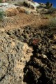 DMR_000521_72